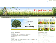 Tablet Screenshot of kudykam.com